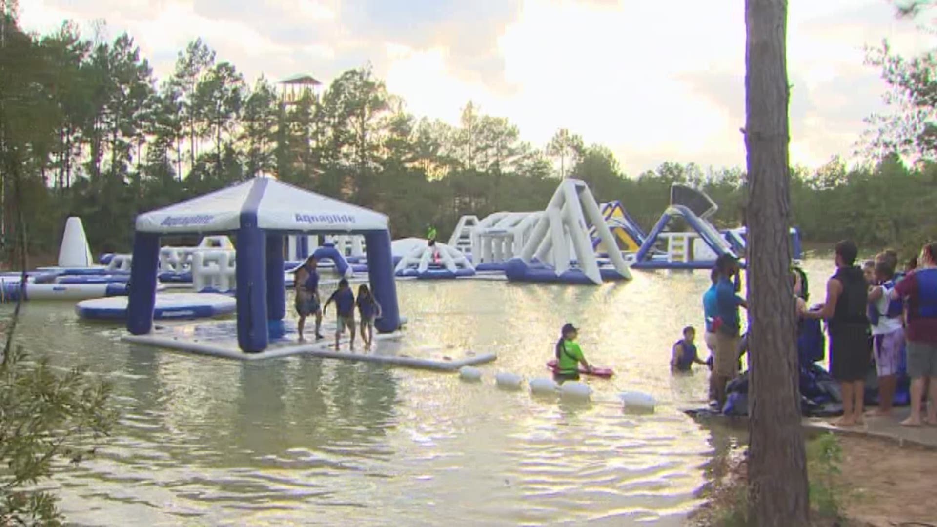 New Caney, TX artificial turf projects