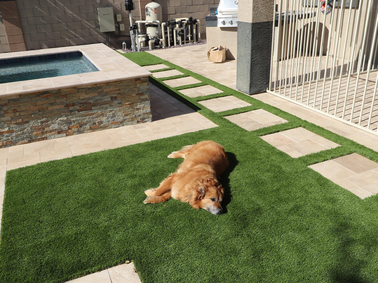 Pet Turf Installation in Huffman, TX